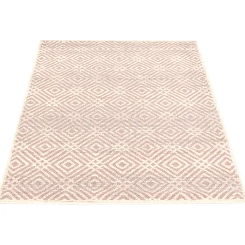 Indoor Rug - 8 x 10