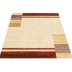 Indoor Rug - 5 x 7