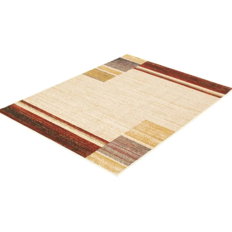 Indoor Rug - 5 x 7