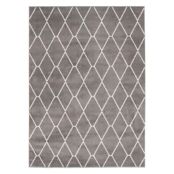 Indoor Rug - 8 x 10