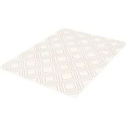 Indoor Rug - 8 x 10