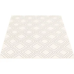 Indoor Rug - 8 x 10