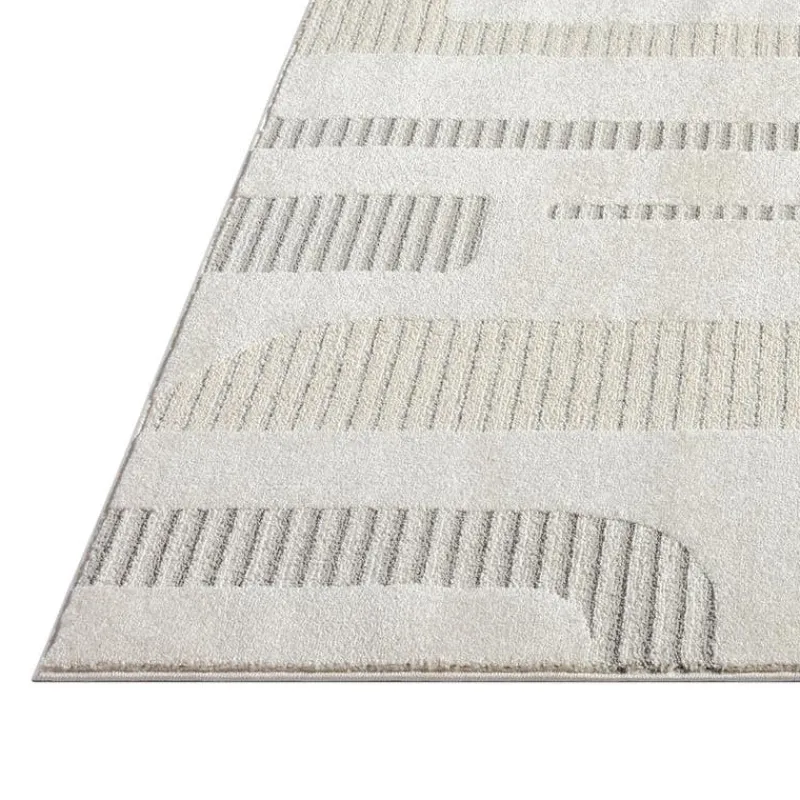 Indoor Rug - 5 x 8