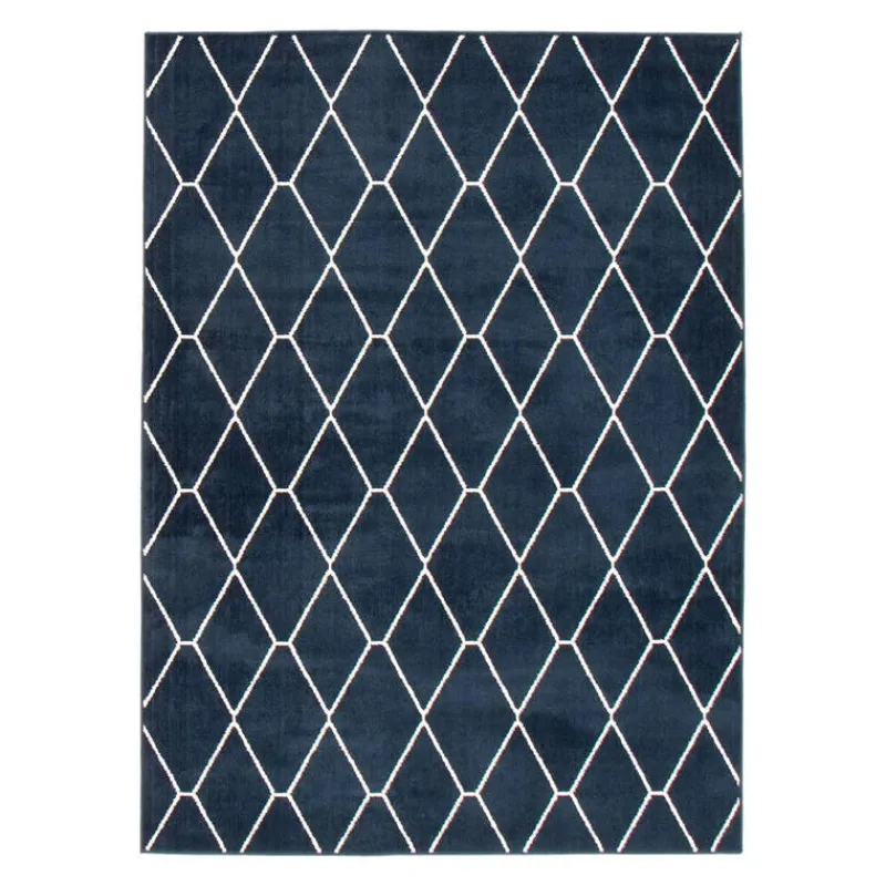 Indoor Rug - 8 x 10