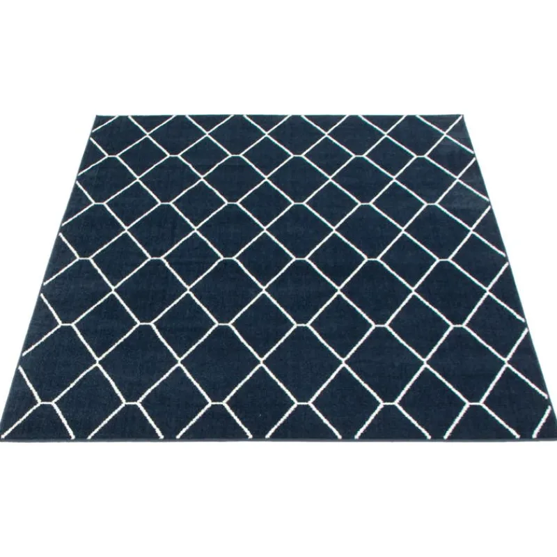 Indoor Rug - 8 x 10