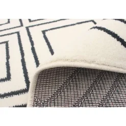 Indoor Rug - 8 x 10