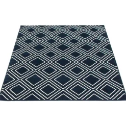 Indoor Rug - 8 x 10