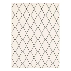 Indoor Rug - 8 x 10