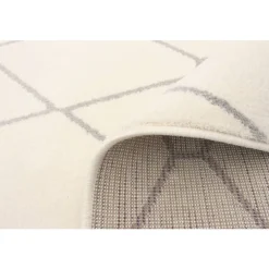 Indoor Rug - 7 x 10