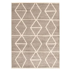 Indoor Rug - 8 x 10