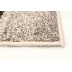 Indoor Rug - 8 x 10
