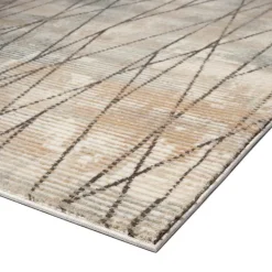 Indoor Rug - 5 x 8
