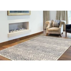 Indoor Rug - 4 x 6