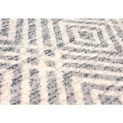 Indoor Rug - 4 x 6