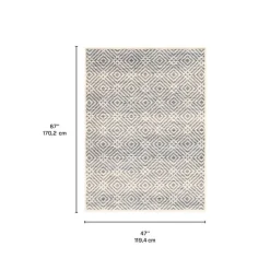 Indoor Rug - 4 x 6
