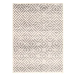 Indoor Rug - 8 x 10