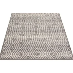Indoor Rug - 8 x 10