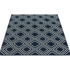 Indoor Rug - 7 x 10