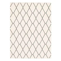 Indoor Rug - 5 x 7