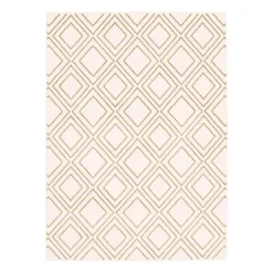 Indoor Rug - 5 x 7