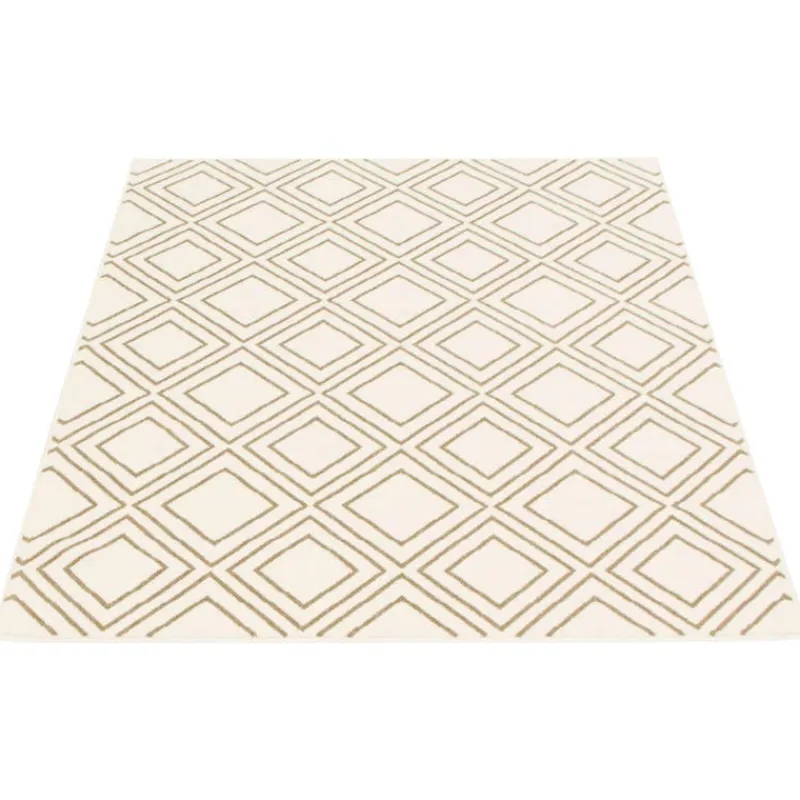 Indoor Rug - 5 x 7
