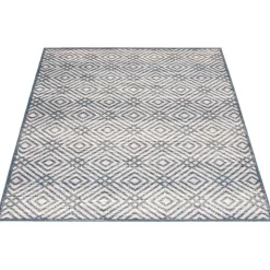 Indoor Rug - 8 x 10