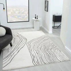 Indoor Rug - 5 x 8