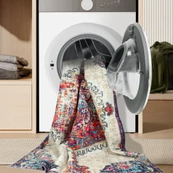 Machine Washable Indoor Rug - 5 x 7