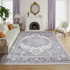 Machine Washable Indoor Rug - 5 x 7