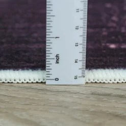 Machine Washable Indoor Rug - 5 x 7