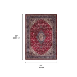 Machine Washable Indoor Rug - 5 x 7