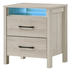Nightstand with 2 Storage Drawers and LED Lighting