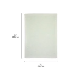Outdoor 7 x 10 ft Rug