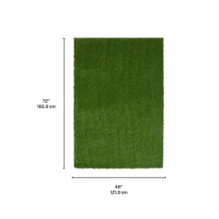 Outdoor Faux Grass Rug - 4 x 6