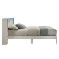 Queen Bed with LED, Wireless Charger, USB and Storage - 60