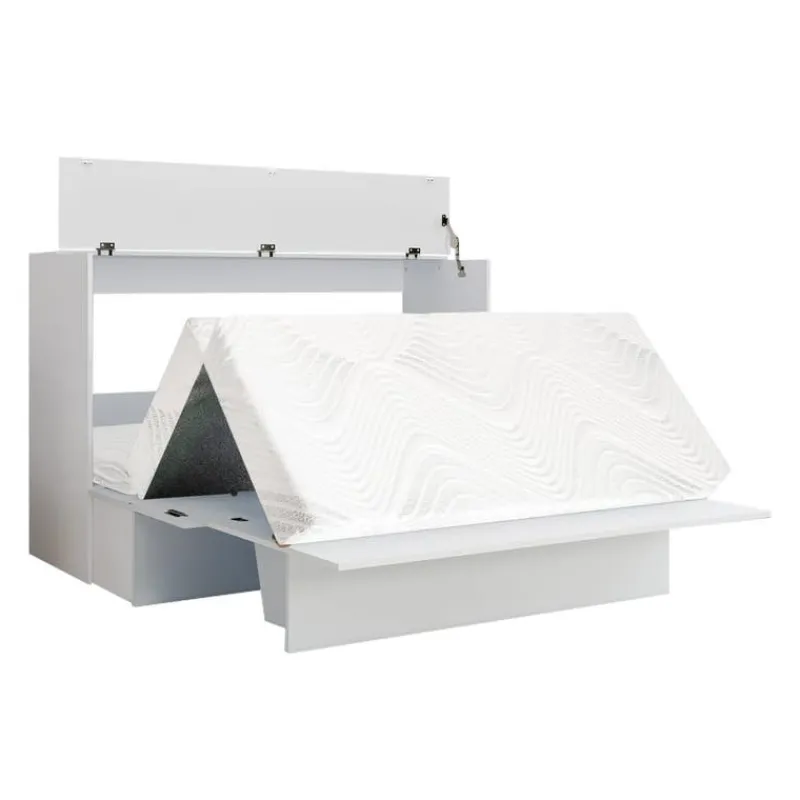 Queen Cabinet Bed with 6.5-inch Mattress -