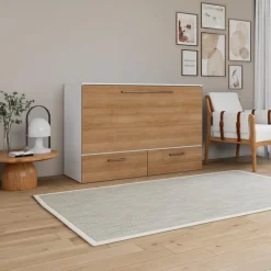 Queen Cabinet Bed with 6.5-inch Mattress -