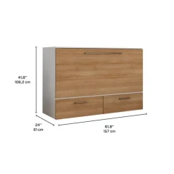 Queen Cabinet Bed with 6.5-inch Mattress -