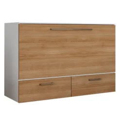 Queen Cabinet Bed with 6.5-inch Mattress -