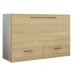 Queen Cabinet Bed with 6.5-inch Mattress -