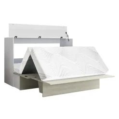 Queen Cabinet Bed with 6.5-inch Mattress -