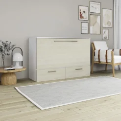Queen Cabinet Bed with 6.5-inch Mattress -