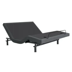 Queen Electric Bed (60")