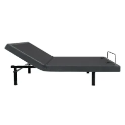 Queen Electric Bed (60