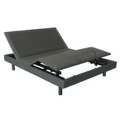 Queen Electric Bed (60