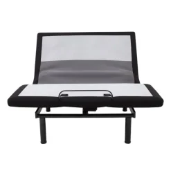 Queen Electric Bed - 60” x 80”