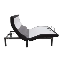 Queen Electric Bed - 60” x 80”