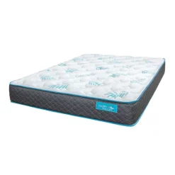 Dreamstar Queen Firm Foam Mattress-in-a-Box - 60