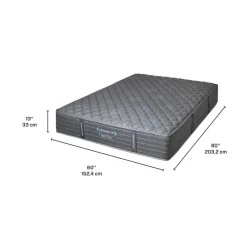 Dreamstar Queen Firm Mattress with Pocket Coils - 60"