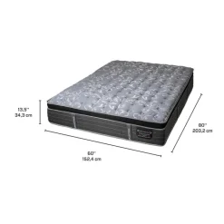 Dreamstar Queen Medium-Firm Mattress with Pocket Coils - 60"
